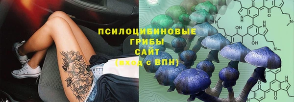 гидра Волосово